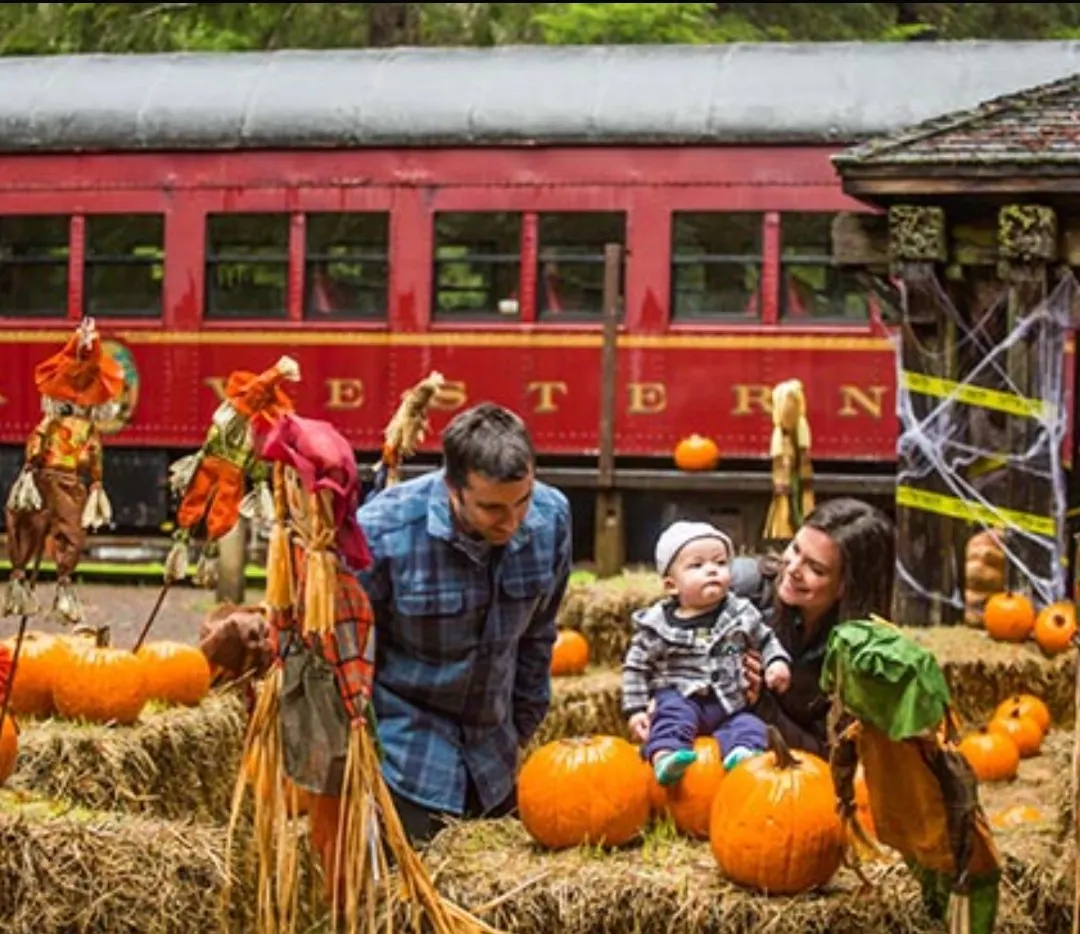 Pumpkin express